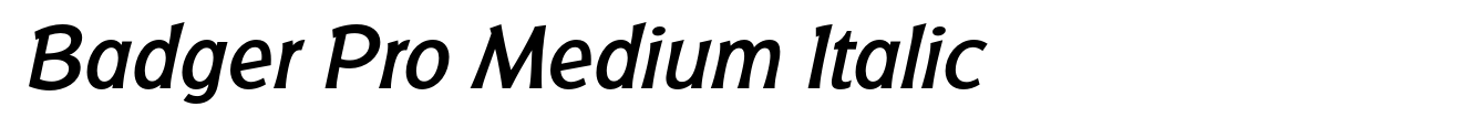 Badger Pro Medium Italic